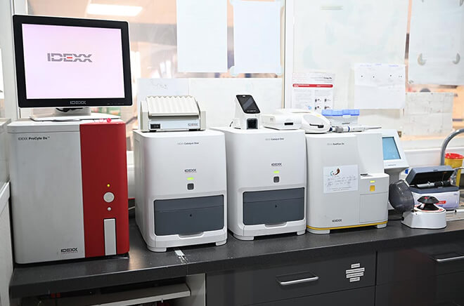 CL-Analyses Analyses sanguines