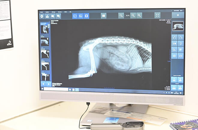 CL-Imagerie Imagerie médicale